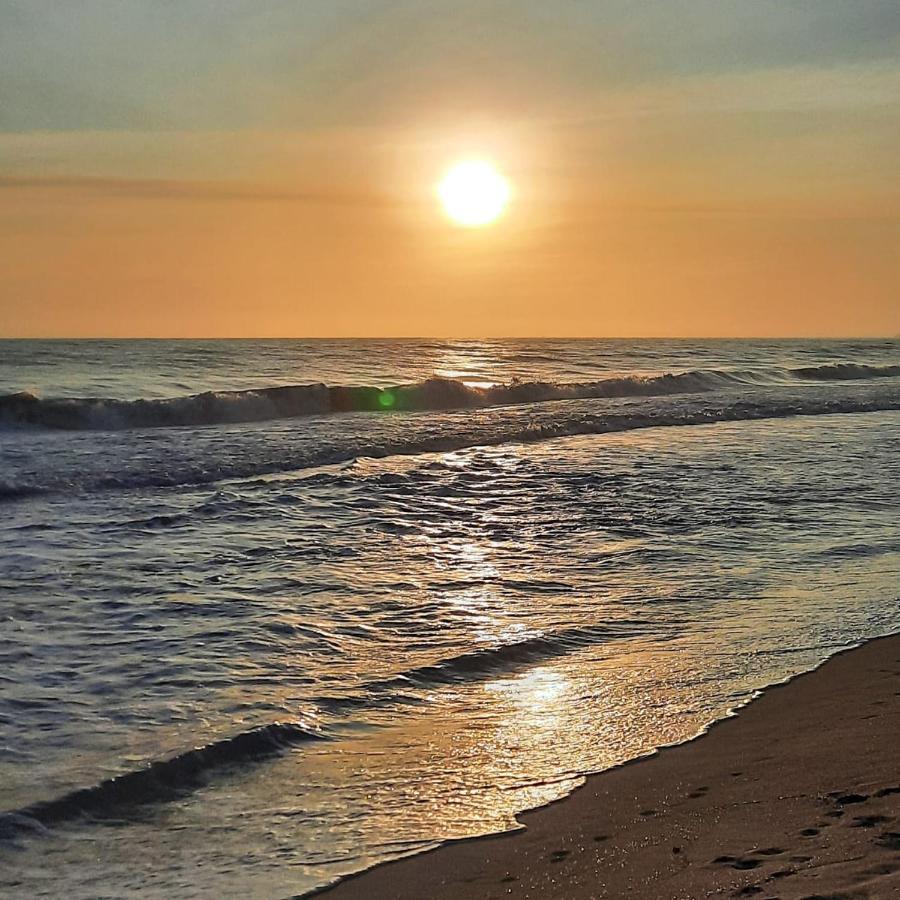 Rincon Del Mar Palomino Bed & Breakfast ภายนอก รูปภาพ
